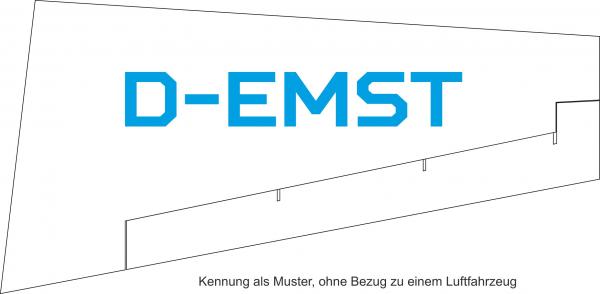 Luftfahrzeug Kennzeichen, Tragfläche